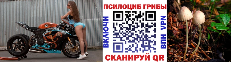 blacksprut   Слободской  Псилоцибиновые грибы ЛСД 