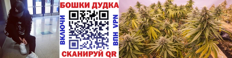 Шишки марихуана сатива Слободской